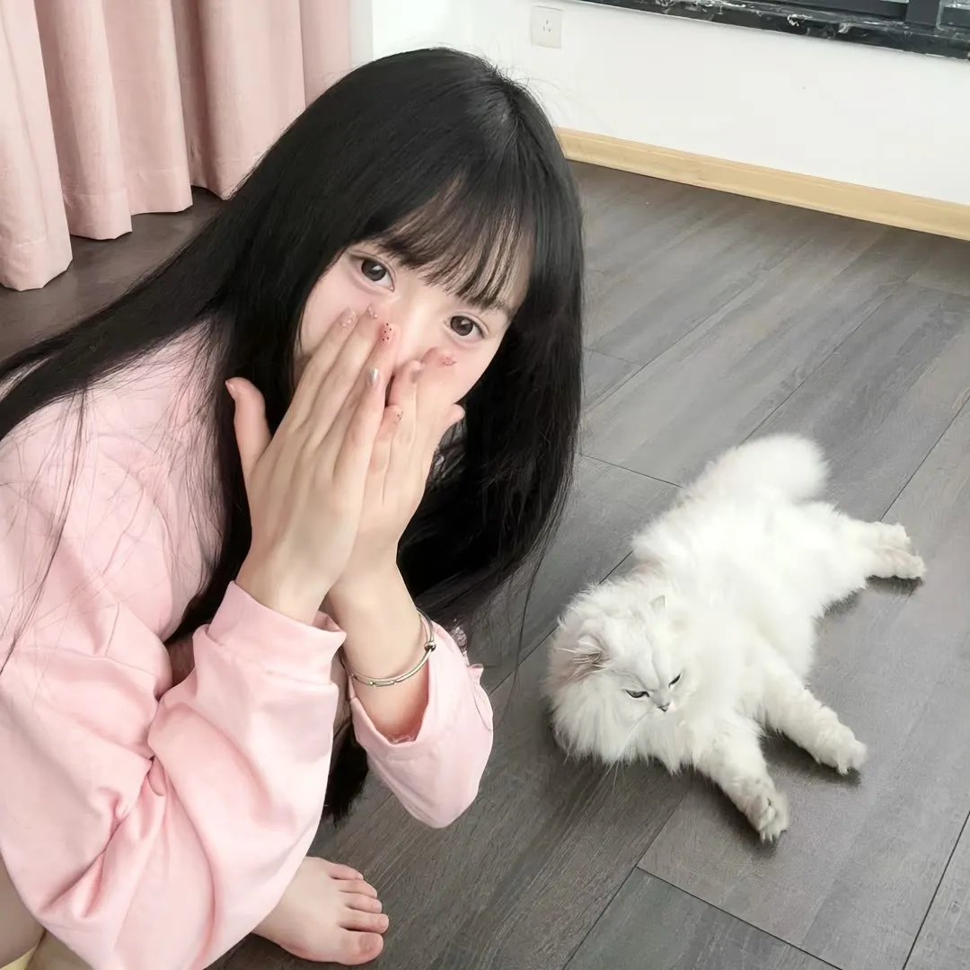 楚小姐的罪案追踪法则